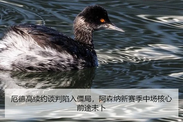 厄德高续约谈判陷入僵局，阿森纳新赛季中场核心前途未卜